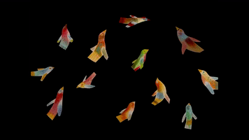 Hansel Romano GIF