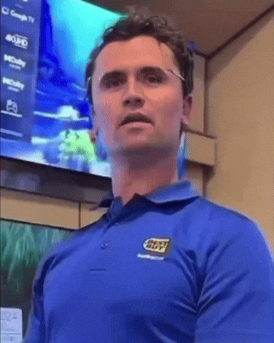 Best Buy Charlie GIF