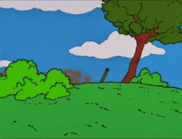 Simpsons GIF