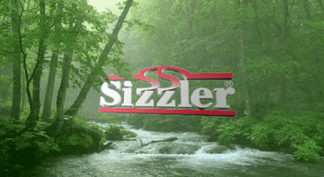 the ngb sizzler GIF