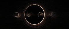 Denis Villeneuve Dune GIF by TIFF