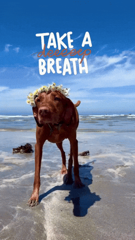 Breathe Deep Breath GIF