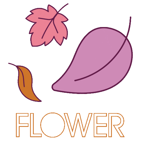 Drew Barrymore Fall Sticker by FLOWER Beauty