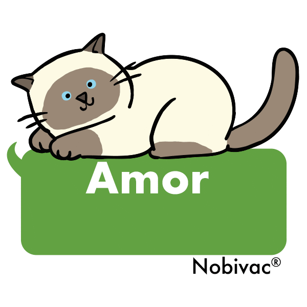 Nobivac Felv Sticker by MSD Família Pet