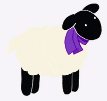 Mascot Sheep GIF by University College Dublin