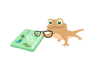 Bearded Dragon Computer Sticker by Zen Habitats