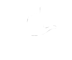 Lucitano Sticker by Innovative Influence