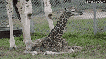 babies out here ah nevermind