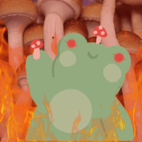 Fire Frog GIF