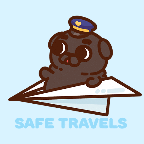 Travel Flying GIF by Puglie Pug