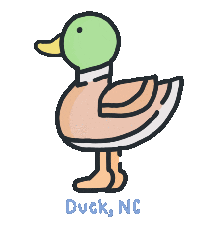 Twiddy and Company Sticker