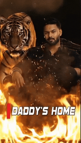 Daddys Home Tiger GIF