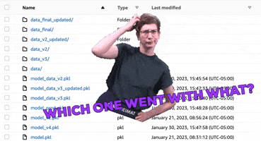 Dvc GIF