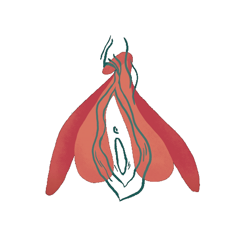 Anatomy Sticker by Vulvárias