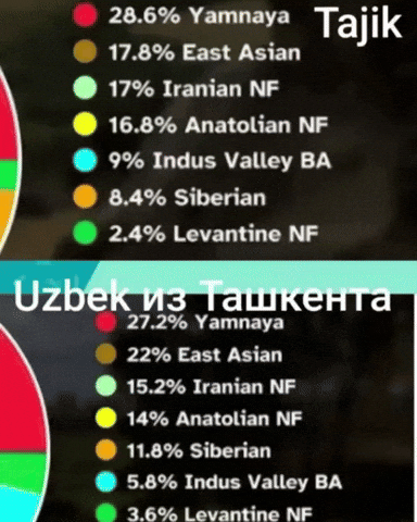 Uzbek GIF