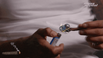 Youtube Comedy GIF