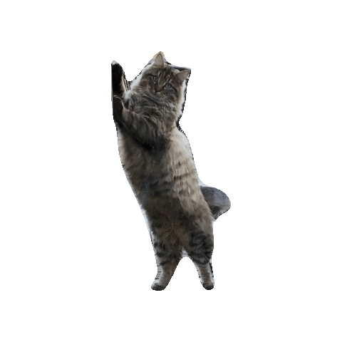 Cat Sticker by agenceiko