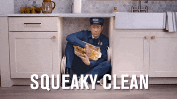 Clean Up Cleaning GIF by Maytag