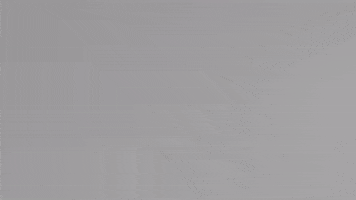 GIF by Backyard Banger