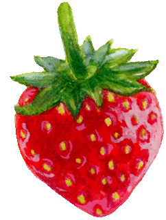 Fruit Strawberry Sticker