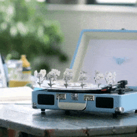 record player records GIF by molehill