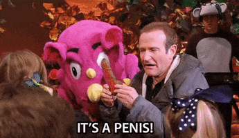 robin williams its a penis GIF