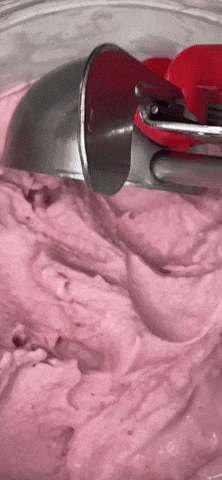 Sunny Bowls GIF