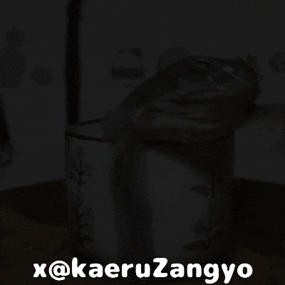 Frog GIF