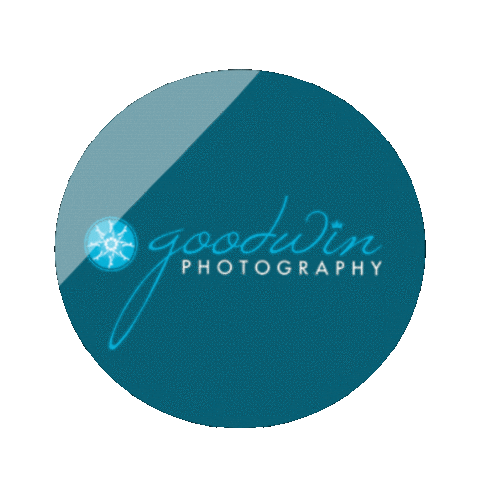 Goodwin Photography GIFs on GIPHY - Be Animated