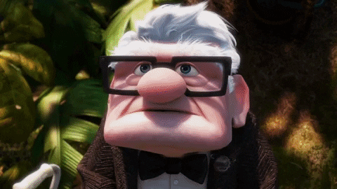 bird from up was made through actual field research