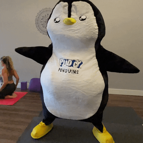 Tai Chi Fitness GIF by Pudgy Penguins