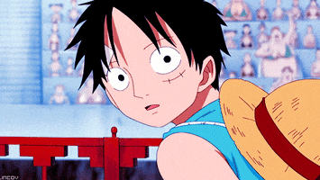 Happy One Piece GIF by Toei Animation