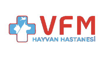 Sticker by vfmhayvanhastanesitr