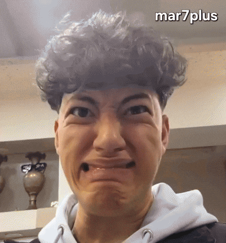 ميمز GIF