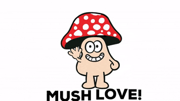 Mushroom Love GIF by Oklahoma Fungi