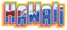 Hawaii Vacationing Sticker