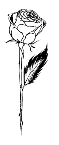 LORENZA CEIBA Sticker