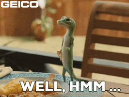 I Guess Think About It GIF by GEICO