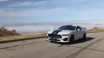 Shelby American GIF by Torque Trucks