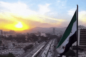 Syria Alaa GIF