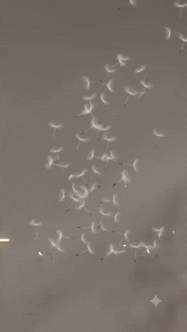 Milk Latching GIF by latched
