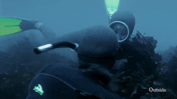 Under Water Yes GIF by Outside Watch
