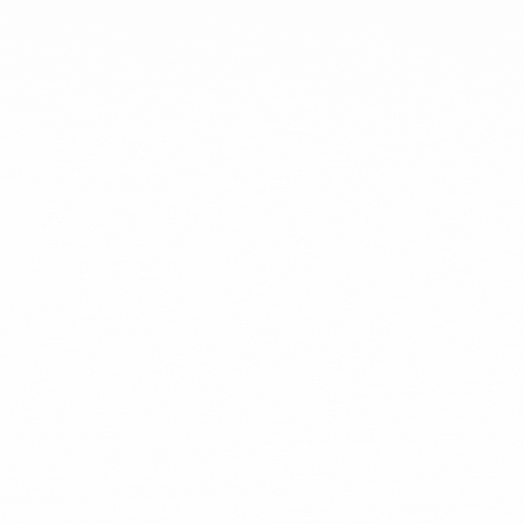 Royal Fox Realty, LLC GIF