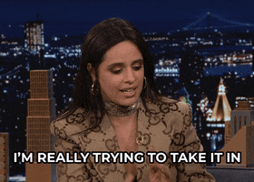 Take It In Tonight Show GIF by The Tonight Show Starring Jimmy Fallon