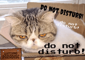Do Not Disturb GIF