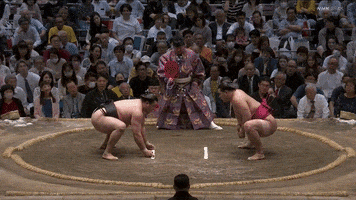 Sumo GIF