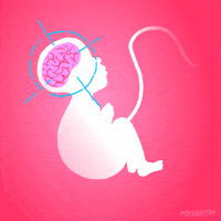 GIF artists on tumblr science fox - animated GIF on GIFER - by Kardred
