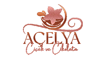 acelyacicek Sticker
