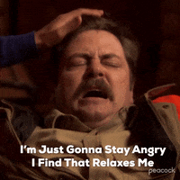 Stay Angry Season 2 GIF by Parks and Recreation