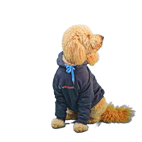 Pets Best Sticker